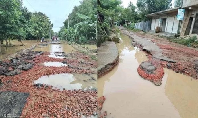 বন উজাড় ও নাব্যতা